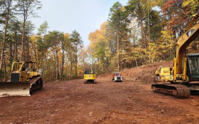 Land Clearing vs. Forestry Mulching: What Does Your Property Need?